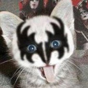 Meet your Posher, Carol